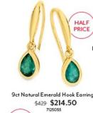 9ct Natural Emerald Hook Earring offers at $214.5 in Angus & Coote