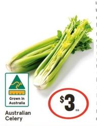 Australian Celery offers at $3 in IGA