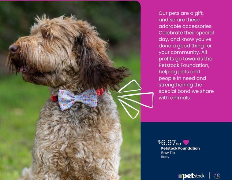 Petstock Foundation - Bow Tie offers at $6.97 in PETstock