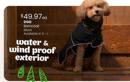 Dgg - Raincoat Black offers at $49.97 in PETstock