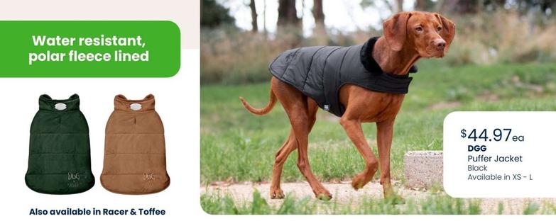 Dgg - Puffer Jacket Black offers at $44.97 in Best Friends Pets