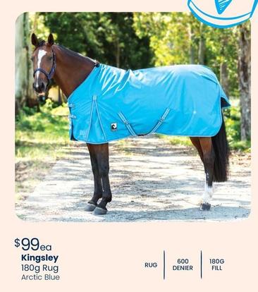 Rugs offers at $99 in PETstock