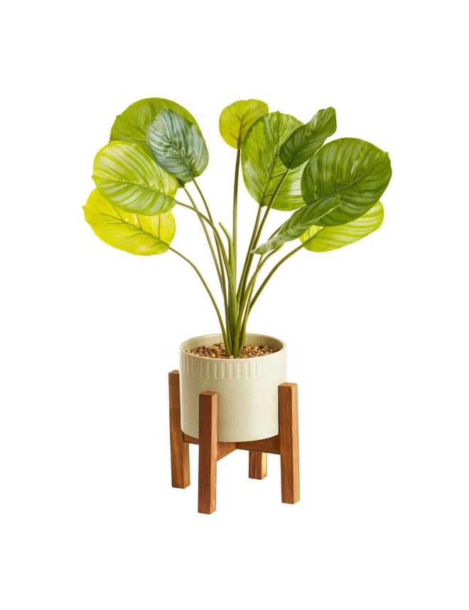 Cooper & Co. 75cm Artificial Decor Taro Plant In Ceramic Pot w/Wooden Stand Set offers at $72 in Autograph