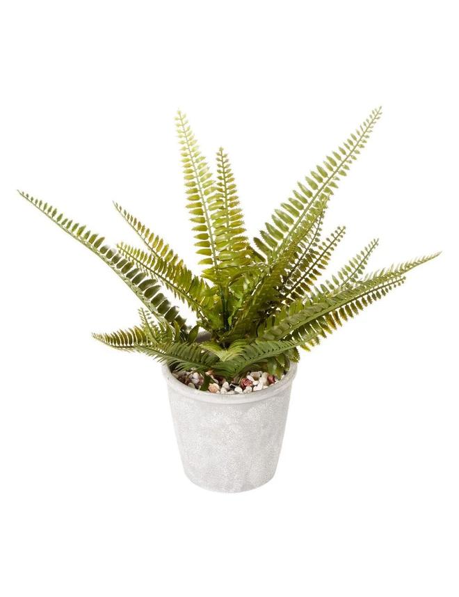 Cooper & Co Boston Artificial Indoor Decorative Plant Leafy Fern Green 30 cm offers at $24 in Autograph