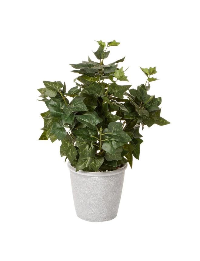Cooper & Co Ivy Green Artificial Decor Indoor Decorative Plant 39 cm w/Pot Set offers at $27 in Autograph