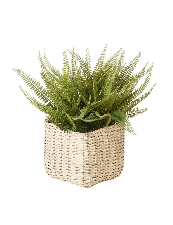 Cooper & Co. Artificial 47cm Leafy Fern In Fabric Woven Basket Green Table Set offers at $45 in Autograph