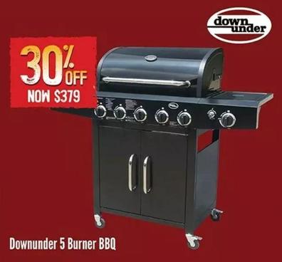 Gas bbq offers at $379 in Barbeques Galore