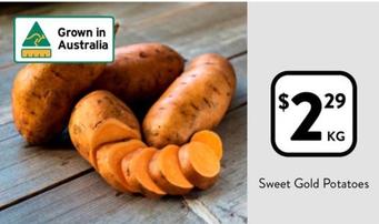 Sweet Gold Potatoes offers at $2.29 in Foodworks