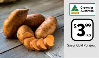 Sweet Gold Potatoes offers at $3.99 in Foodworks