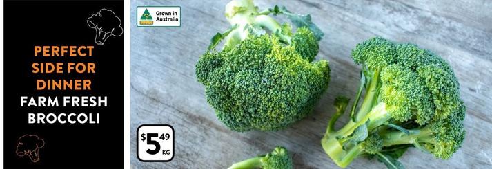Farm Fresh Broccoli offers at $5.49 in Foodworks