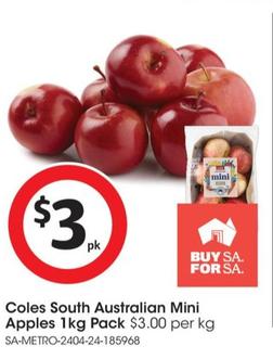 Coles - Australian Mini Apples 1kg Pack offers at $3 in Coles