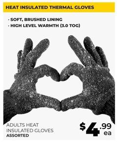 Adults Heat Insulated Gloves Assorted offers at $4.99 in Prices Plus