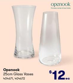 Openook - 25cm Glass Vases offers at $12 in BIG W