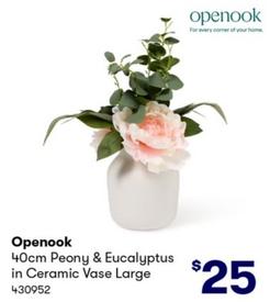 Openook - 40cm Peony & Eucalyptus in Ceramic Vase Large offers at $25 in BIG W