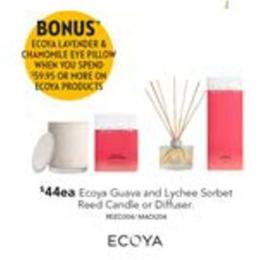 Ecoya - Guava And Lychee Sorbet Reed Candle Or Diffuser offers at $44 in Harvey Norman