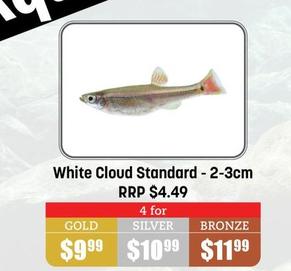 White Cloud Standard 2-3cm offers at $9.99 in Pets Domain