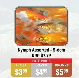 Nymph Assorted 5-6cm offers at $3.99 in Pets Domain