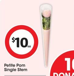 Petite Pom Single Stem offers at $10 in Coles