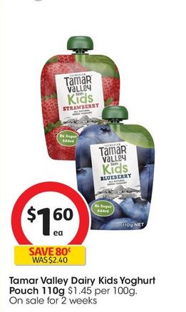 Tamar Valley - Dairy Kids Yoghurt Pouch 110g offers at $1.6 in Coles