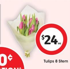 Tulips 8 Stem offers at $24 in Coles