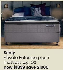 Sealy - Elevate Botanica Plush Mattress offers at $1899 in Myer