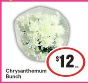 Chrysanthemum Bunch offers at $12 in IGA