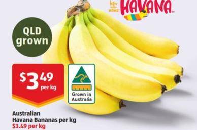 Australian Havana Bananas Per Kg offers at $3.49 in ALDI