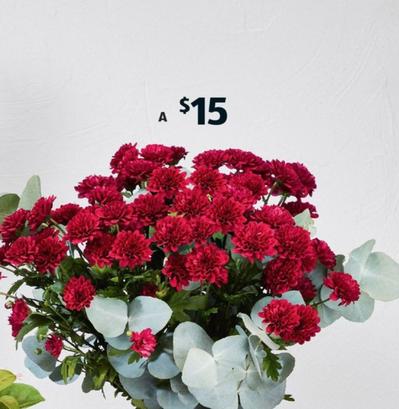 Best Mum Bouquet offers at $15 in ALDI