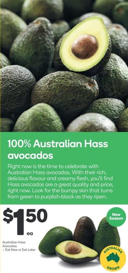 Australian Hass Avocadoes offers at $1.5 in Woolworths