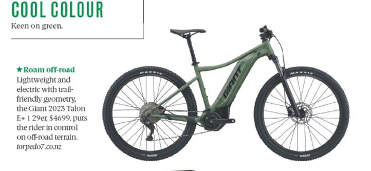 The Giant 2023 Talon E+ 1 29er offers at $4699 in Air New Zealand