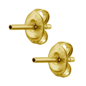 Gold Titanium Internal Ear Stud Post with Butterfly Back (Type R) 18 Gauge Sold as Pairs offers at $19.95 in Essential Beauty