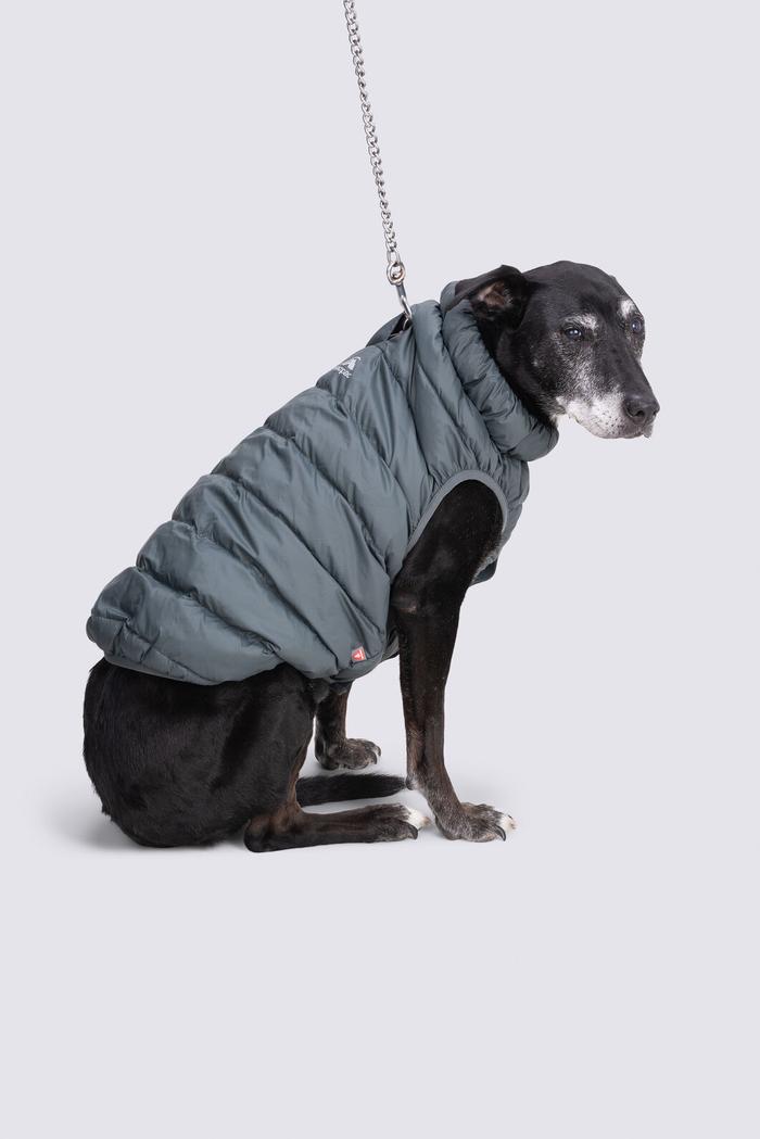 Macpac Dog Coat— L offers at $109.99 in Rays Outdoors
