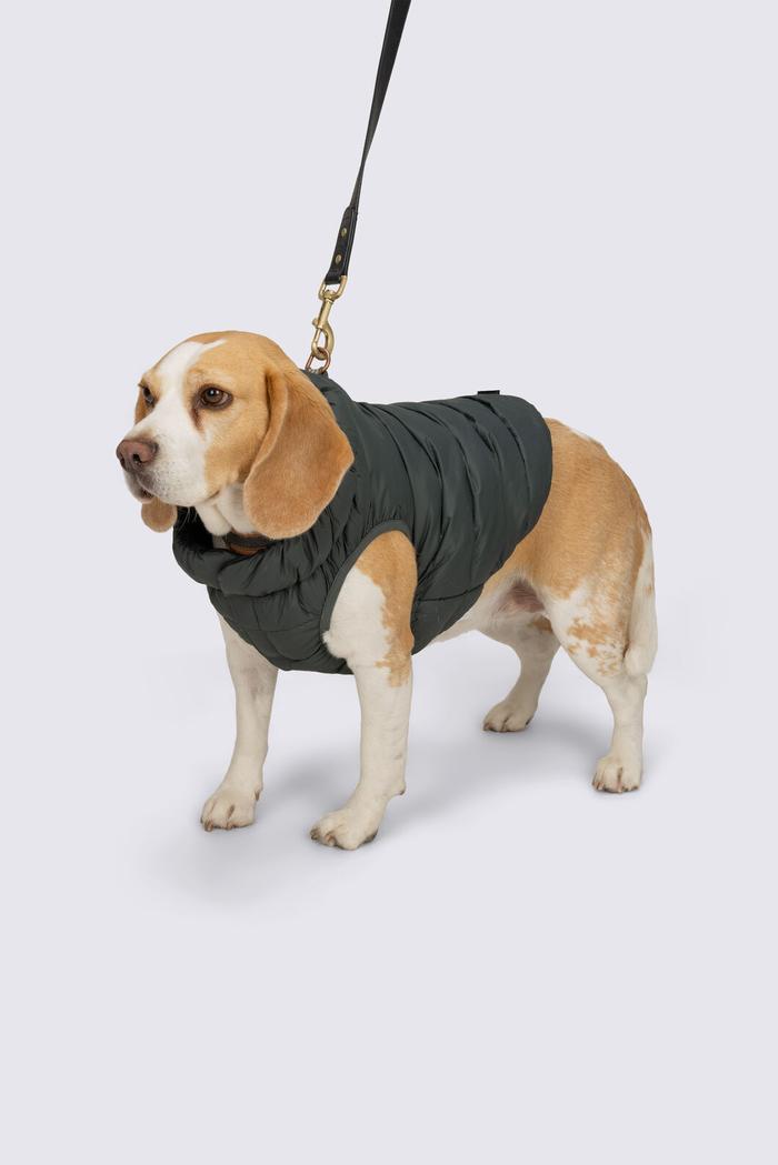 Macpac Dog Coat— M offers at $99.99 in Rays Outdoors
