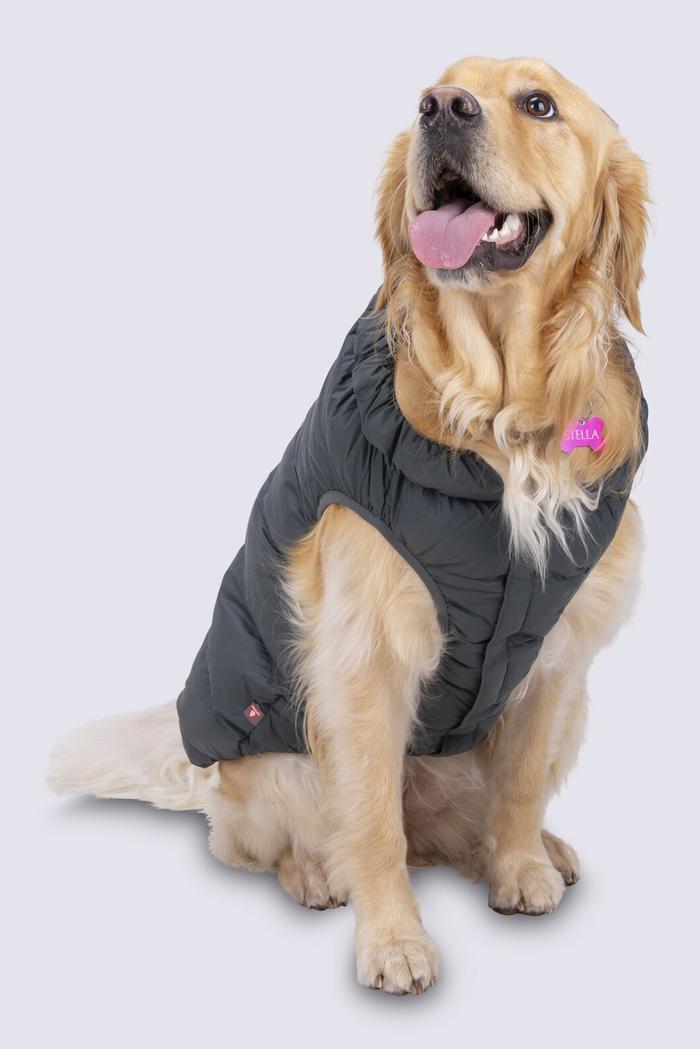 Macpac Dog Coat— XL offers at $119.99 in Rays Outdoors