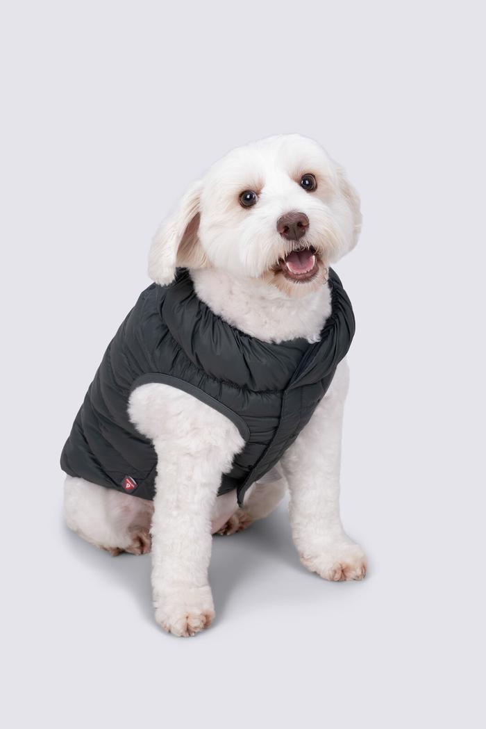 Macpac Dog Coat— S offers at $89.99 in Rays Outdoors