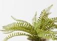 Artificial Fern in Pot offers at $6 in Kmart