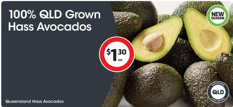 Queensland Hass Avocados offers at $1.3 in Coles