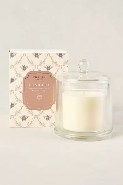 Bee Print Glass Cloche Candle offers at $39.99 in Blue Illusion