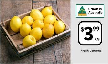 Fresh Lemons offers at $3.99 in Foodworks