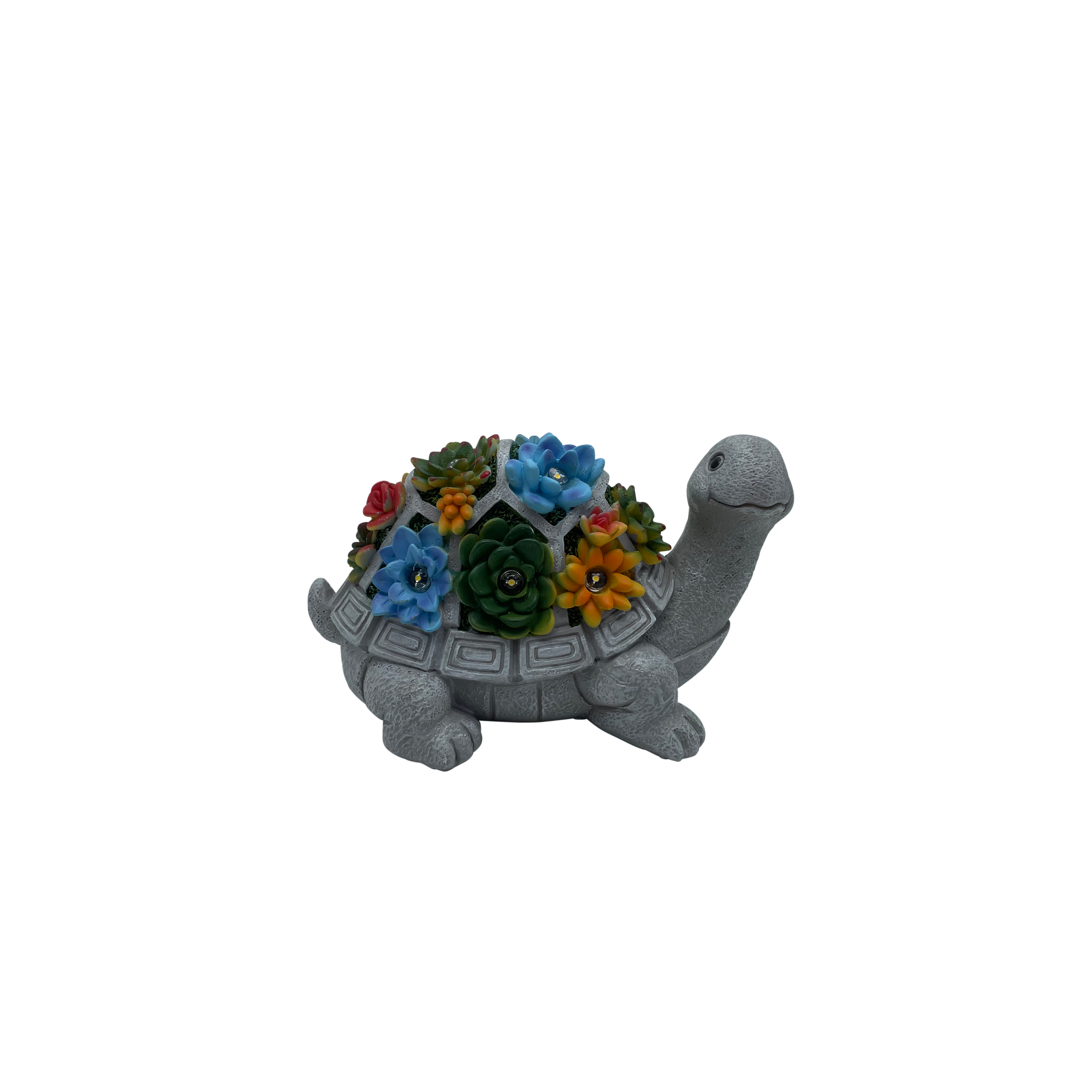 Solar - Turtle Figurine with Succulents offers at $12.99 in Dollars and Sense