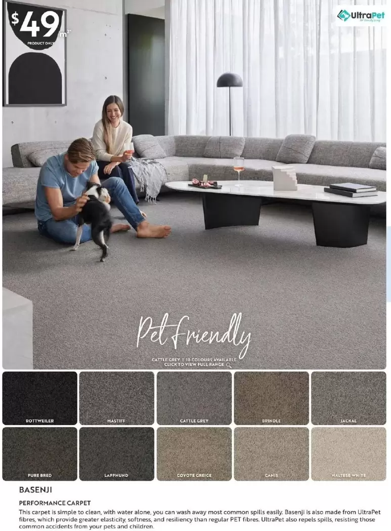 Basenji - Performance Carpet offers at $49 in Carpet Court