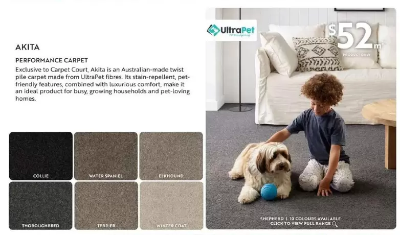 Akita - Performance Carpet offers at $52 in Carpet Court