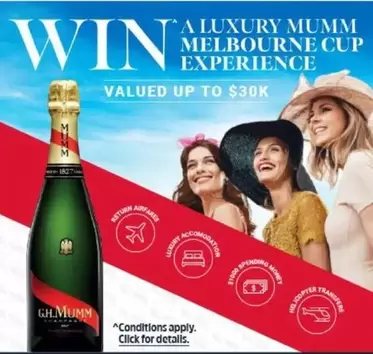 Mumm - Pink Gin offers in BWS