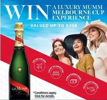 Mumm - Pink Gin offers in BWS