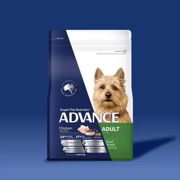 ADVANCE™ Adult Small Breed Chicken with Rice offers at $14.8 in Advance Petcare