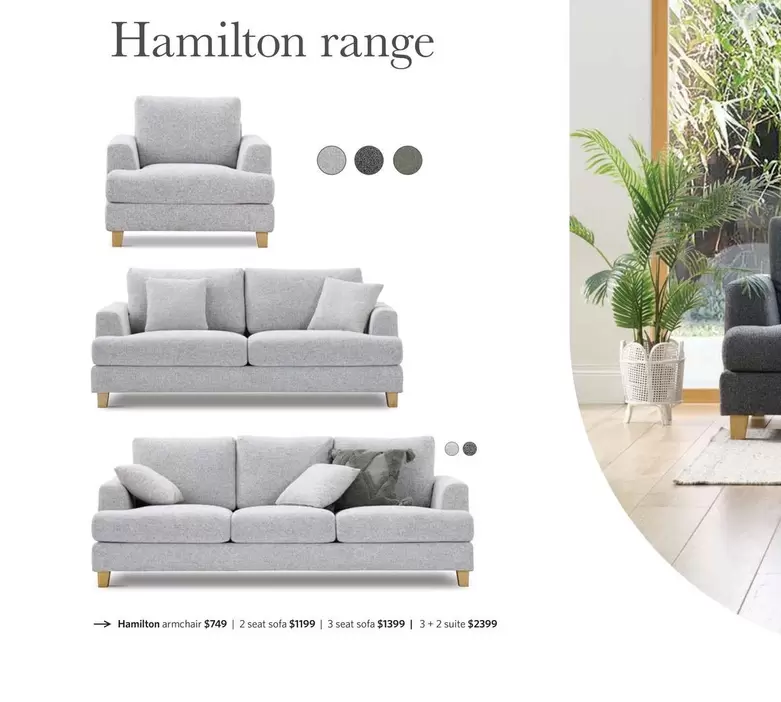 Hamilton -  Armchair  offers at $749 in Focus On Furniture