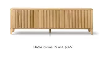 Elodie - Lowline Tv Unit offers at $899 in Focus On Furniture