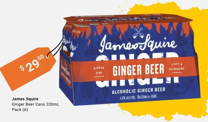 James Squire -  Ginger Beer Cans 330ml Pack offers at $29.9 in BWS