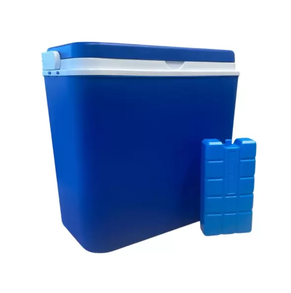 Cooler Box 24L with Ice Brick offers at $26.99 in Red Dot