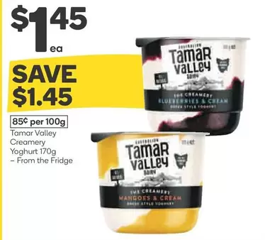 Tamar valley - Creamery Yoghurt 170g offers at $1.45 in Woolworths
